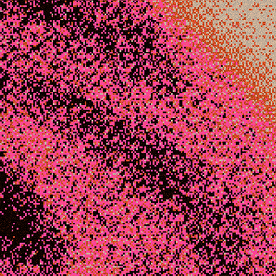 Picture of the author